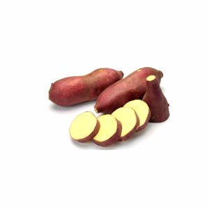 Sweet Potato