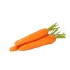 Fresh Carrot 1 fresh carrot export