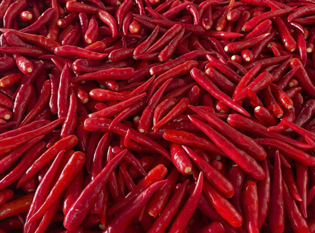 Frozen Chili Pepper 2 Frozen Chili Pepper