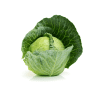 Fresh Cabbage 2 vietnamese cabbage