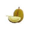 vietnamese fresh durian